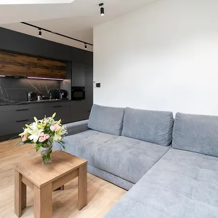 Apartamenty Kalinowa Z Sauna I Bawialnia - Dream Apart Szczyrk Exterior foto