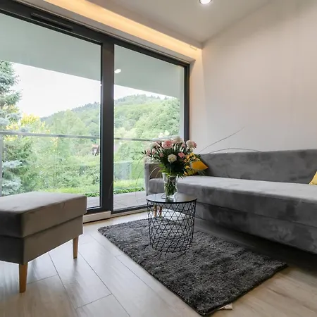 Apartamenty Kalinowa Z Sauna I Bawialnia - Dream Apart Szczyrk Exterior foto