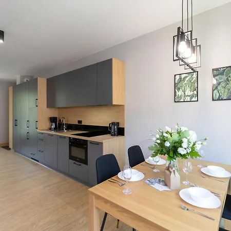 Apartamenty Kalinowa Z Sauna I Bawialnia - Dream Apart Szczyrk Zimmer foto